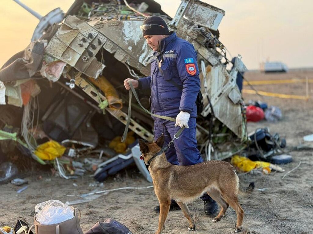 An image showing an airplane crash site in a densely wooded area, with debris scattered among the trees and small fires still burning.