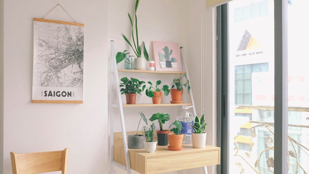 Fifty Ways to Practice Self-Care: How to Pamper Yourself for Any Occasion 6 A cozy interior featuring a wooden shelf filled with various potted plants, a map of Saigon on the wall, and a stylish window view.