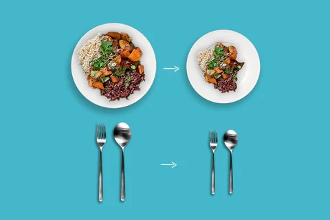 15 Research-backed methods for losing weight without exercise 3 Comparison of two meal portions served on white plates with utensils below to illustrate portion sizes.