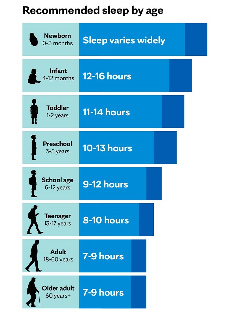 Oversleeping: Harmful to Your Health? 2 A chart displaying the recommended hours of sleep for different age groups, from newborns to older adults.