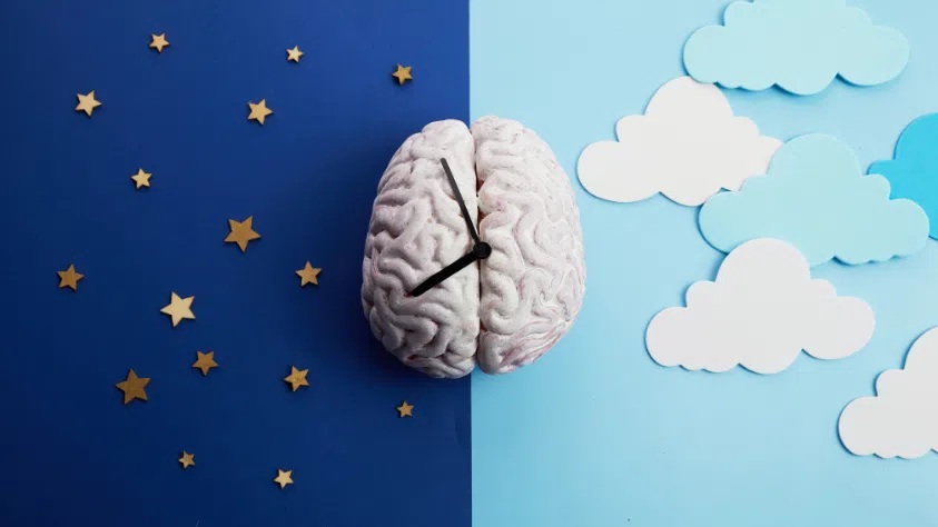 An artistic representation of a brain divided into night and day themes, featuring stars on one side and clouds on the other with a clock overlay.