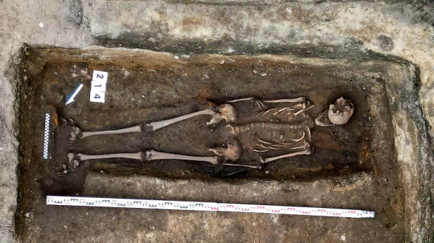 A detailed view of an ancient skeleton in a burial site, accompanied by measuring tools for archaeological documentation.