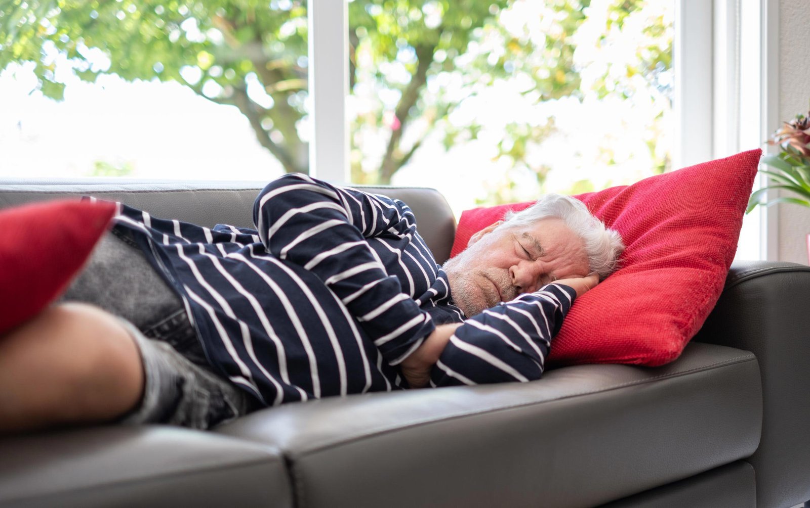 Daytime Napping in Older Adults: More Than Just Tired? Early Warning Signs Explained