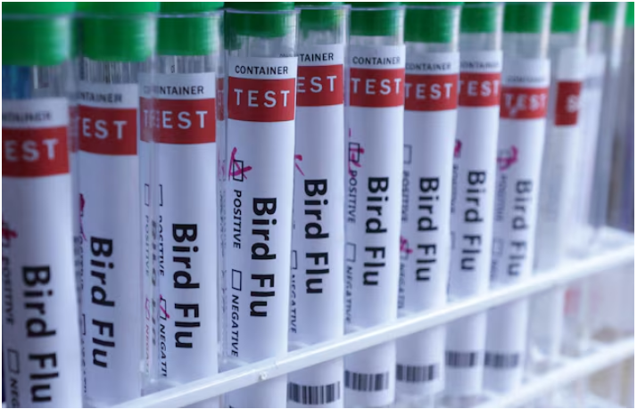 New Zealand Confirms First H5N1 Bird Flu Case in Native Bird