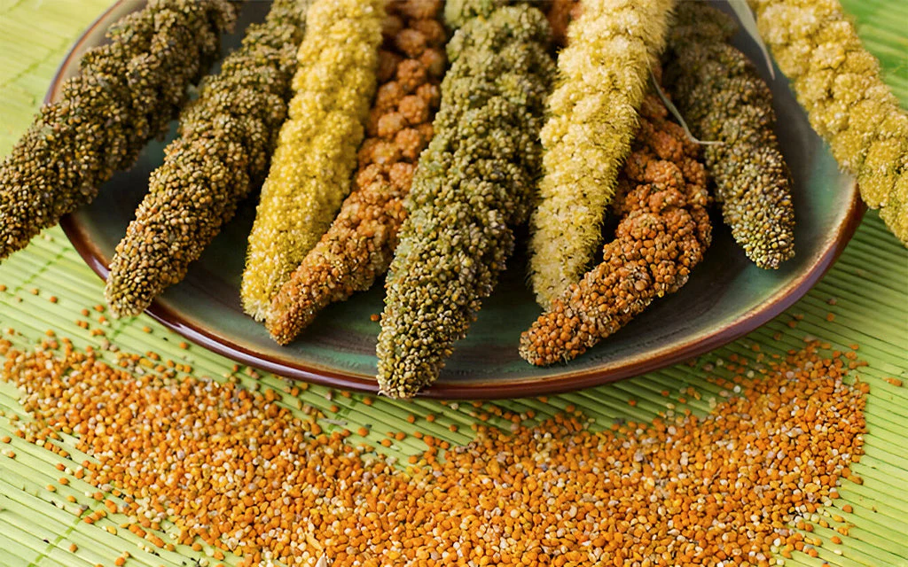 Millets Have a Healthy Reputation—But There’s a Catch