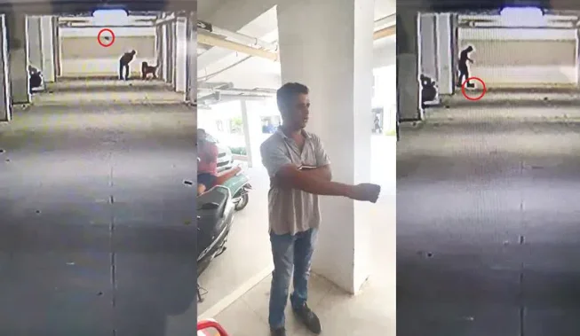 A Businessman from Hyderabad kills five stray puppies by smashing them against wall, brutally crushing them; CCTV captures heinous act