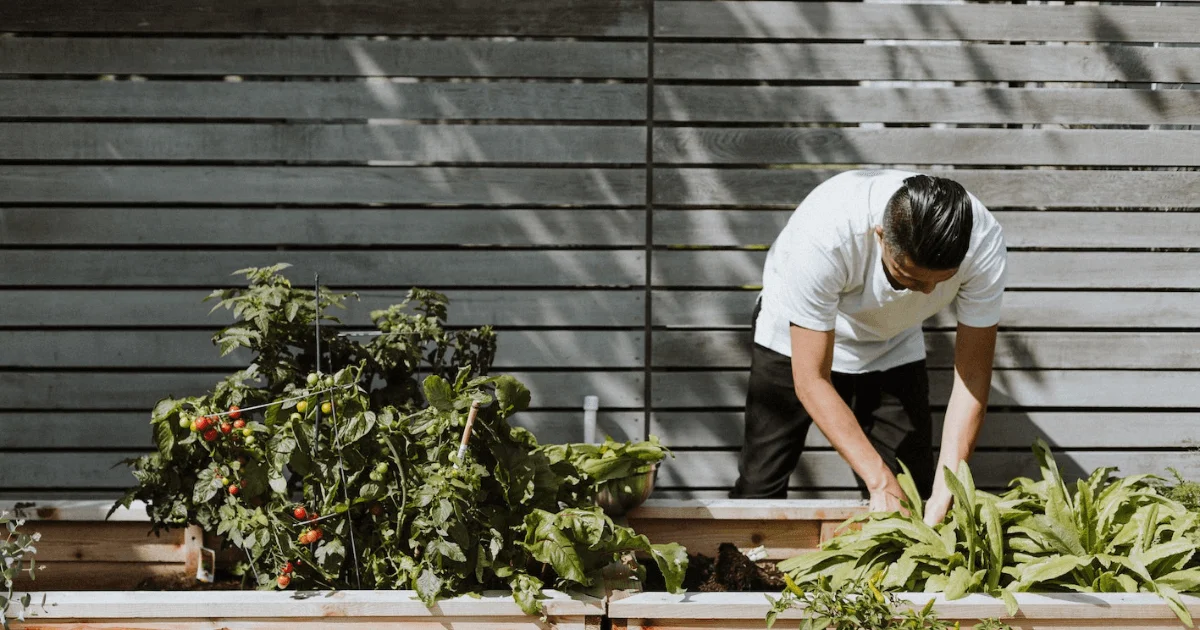 Why Gardening Is Good for Your Mind, Body, and Overall Well-Being