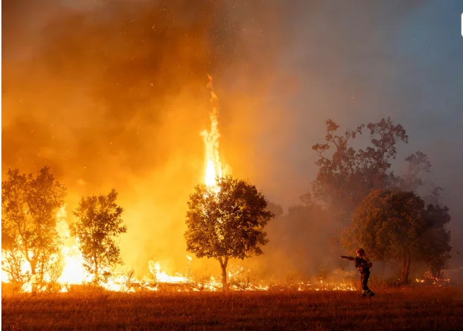 Wildfire Response Under Pressure During Huge Fires Across Spain and France